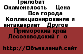 Трилобит Asaphus. Окаменелость. › Цена ­ 300 - Все города Коллекционирование и антиквариат » Другое   . Приморский край,Лесозаводский г. о. 